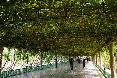 《奇异恩典 -What color is your attribute?-》Steam页面上线 支持